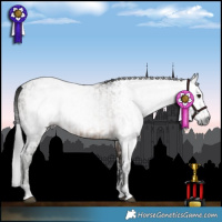 Horse Color:Gray Brown Tobiano and Gray Brown Dun