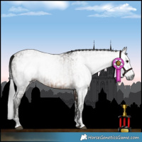 Horse Color:Gray Brown Tobiano  and Gray Brown Dun