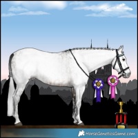 Horse Color:Gray Brown Tobiano  and Gray Brown Dun 