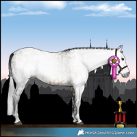 Horse Color:Gray Brown Tobiano and Gray Brown Dun