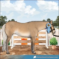 Horse Color:Silver Buckskin Dun 