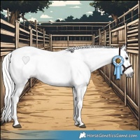 Horse Color:Gray Bay Dun Tobiano 