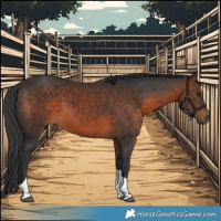 Horse Color:Brown Tobiano 
