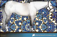 Horse Color:Gray Brown Dun Tobiano