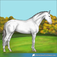 Horse Color:Liver Chestnut Sabino Tobiano Varnish 