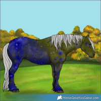 Horse Color:ERROR: UNKNOWN ANOMALY