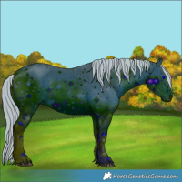 Horse Color:ERROR: UNKNOWN ANOMALY