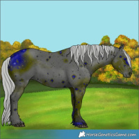 Horse Color:ERROR: UNKNOWN ANOMALY