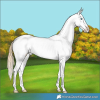 Horse Color:Smoky Grullo Pearl Near Leopard 