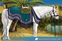 Horse Color:Watercolor Palomino Tobiano Appaloosa 