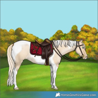 Horse Color:Palomino Pearl Dun Tobiano Rabicano