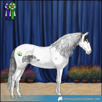 Horse Color:White Spotted Black Splash Tobiano