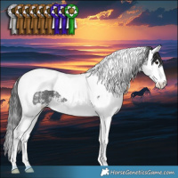 Horse Color:White Spotted Black Splash Tobiano 