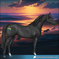 Horse Color:Black Rabicano 