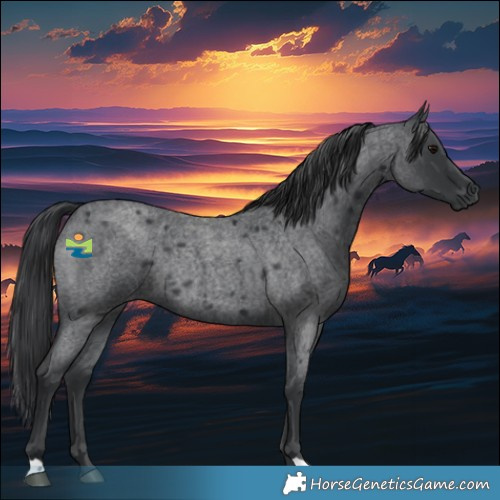 Horse Color:Blue Roan Rabicano 