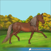 Horse Color:Chestnut 