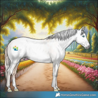 Horse Color:Gray White Spotted Perlino Frame Appaloosa Rabicano