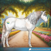 Horse Color:Gray White Spotted Perlino Frame Appaloosa Rabicano 