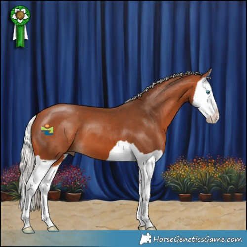 Horse Color:Silver Bay Splash 