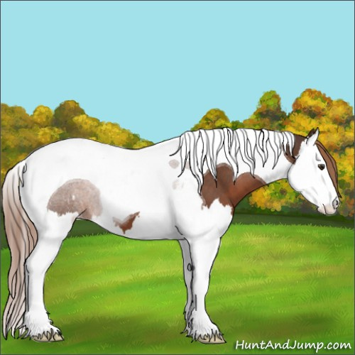 Horse Color:Liver Red Roan Splash Tobiano Appaloosa 