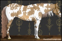 Horse Color:White Spotted Chocolate Palomino Dun Varnish 