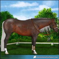 Horse Color:Silver Brown Mushroom 