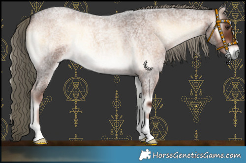 Horse Color:Liver Red Onyx Roan Mushroom 