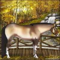 Horse Color:Liver Red Onyx 