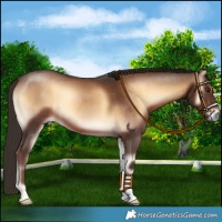 Horse Color:Liver Red Onyx 