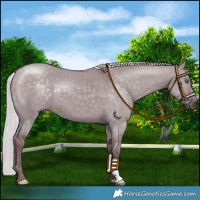 Horse Color:Chocolate Silver Grullo Chinchilla 