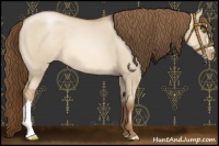 Horse Color:Liver Red Dun Pearl 