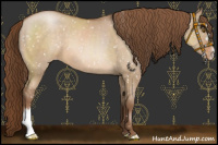 Horse Color:Brown Pearl Dun Snowflake Varnish 