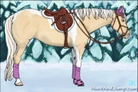 Horse Color:Silver Amber Cream Champagne Tobiano 