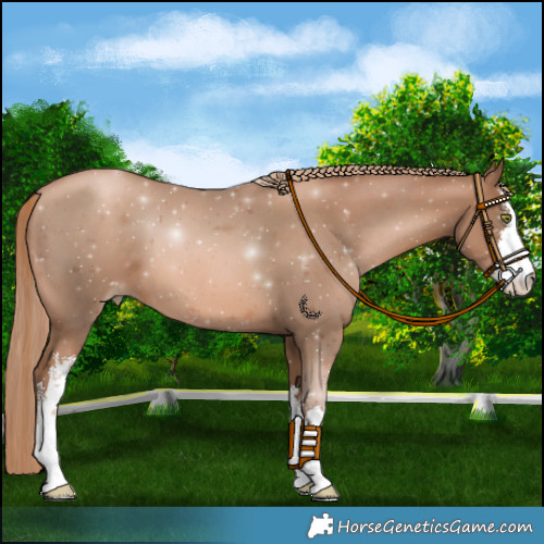 Horse Color:White Spotted Liver Chestnut Pearl 