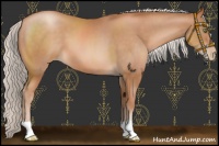 Horse Color:Chocolate Silver Brown Pearl 