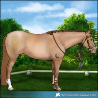 Horse Color:Brown Pearl 