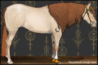Horse Color:Buckskin Pearl Dun