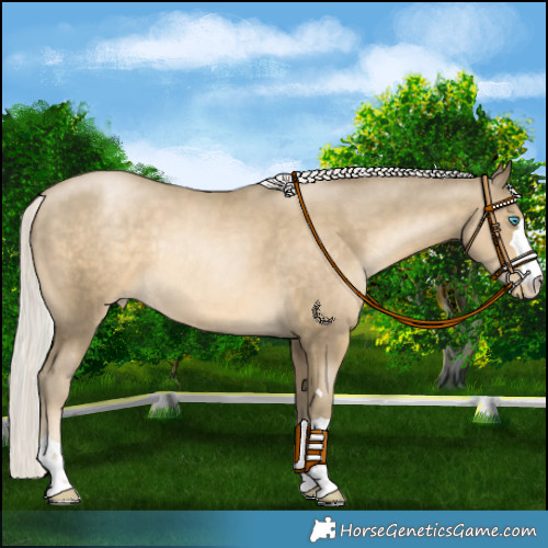 Horse Color:Silver Smoky Black Pearl Rabicano 