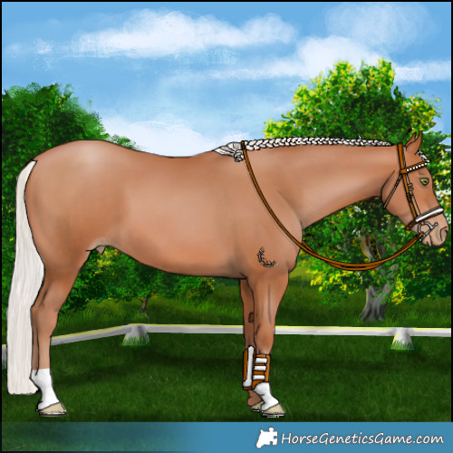Horse Color:Silver Bay Pearl 