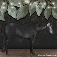 Horse Color:Gray Black 