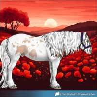Horse Color:Silver Classic Champagne Splash Tobiano Rabicano 