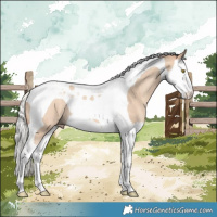 Horse Color:Silver Classic Champagne Dun Splash Tobiano Rabicano 