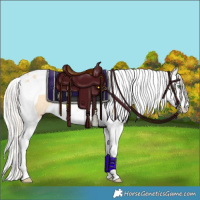 Horse Color:Silver Classic Cream Champagne Dun Splash Tobiano Rabicano