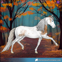 Horse Color:Chocolate Palomino Splash Tobiano 