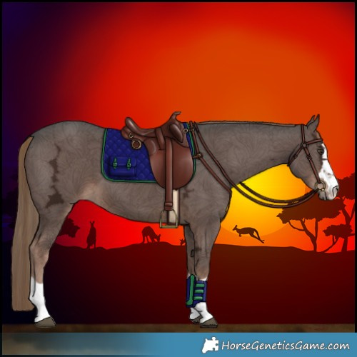 Horse Color:Liver Chestnut Ice 
