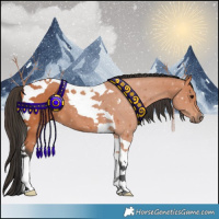 Horse Color:Bay Tobiano