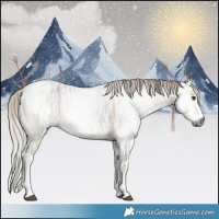 Horse Color:Gray White Spotted Silver Bay Ice Dun 