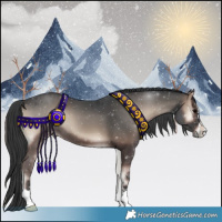 Horse Color:Blue Onyx 