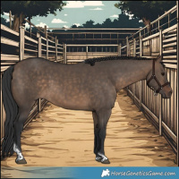 Horse Color:Brown Dun Tobiano 