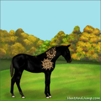 Horse Color:Void Buckskin Sabino Splash Varnish
